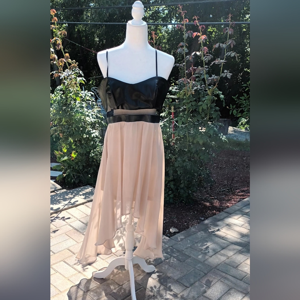 Arden B, Large spaghetti strap high low dress.